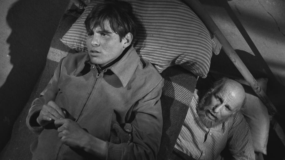 CINE ESPAÑOL: APRENDIENDO A MORIR